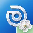 Аспро: Шины и диски 2.0 - интернет-магазин