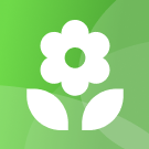 Адаптивный лендинг цветочного магазина — фото 