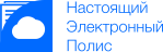 НЭП - Настоящий Электронный Полис